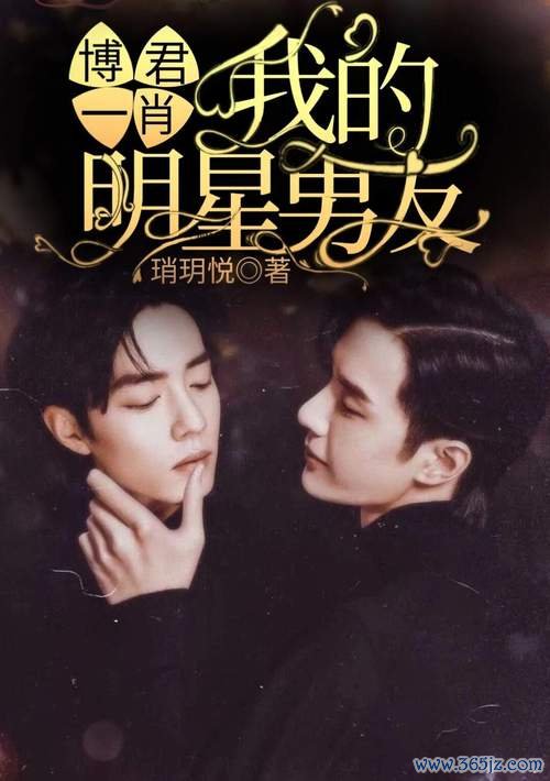 我的明星男友最全游戏攻略解说_我的明星男友最新游戏技巧通关