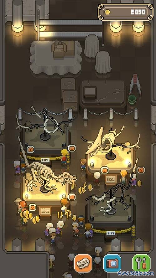 我的化石博物馆最全游戏攻略解说_我的化石博物馆最新游戏技巧通关