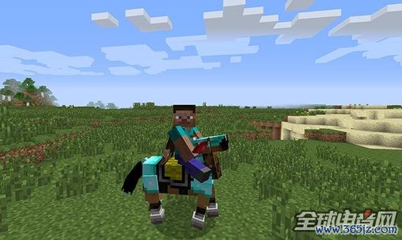 我的世界骑马攻略_我的世界骑马技巧全解析