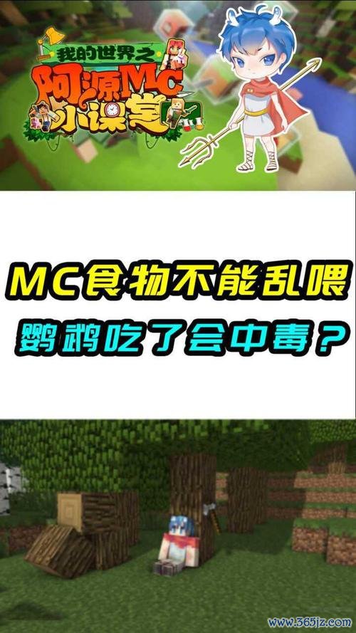 我的世界鹦鹉最全游戏攻略解说_我的世界鹦鹉最新游戏技巧通关