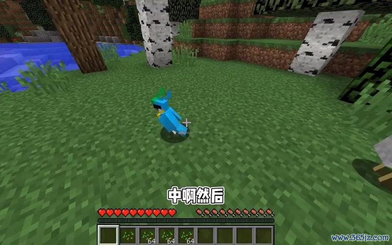 我的世界鹦鹉最全游戏攻略解说_我的世界鹦鹉最新游戏技巧通关