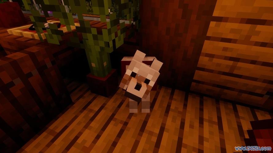 我的世界雨天指令全解_雨天玩法技巧与指令大全