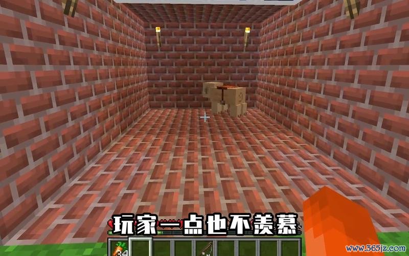 我的世界藏宝图最全游戏攻略解说_我的世界藏宝图最新游戏技巧通关