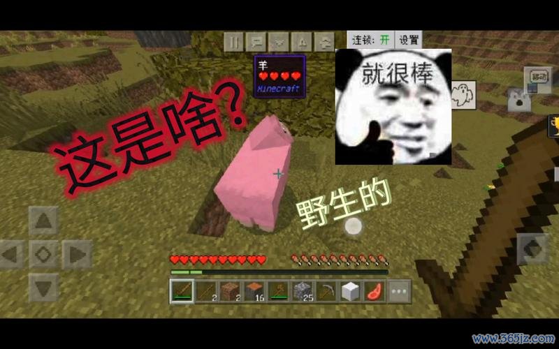 我的世界羊吃什么最全游戏攻略解说_我的世界羊吃什么最新游戏技巧通关