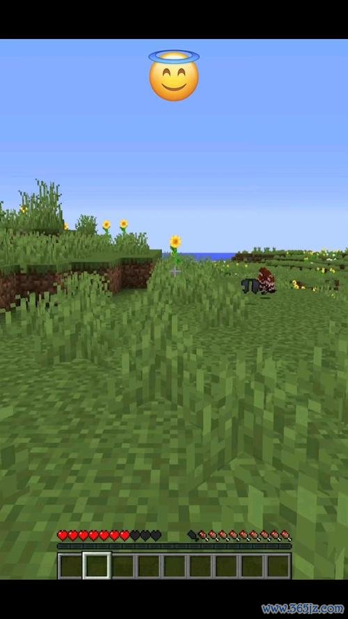 我的世界绿宝石最全游戏攻略解说_我的世界绿宝石最新游戏技巧通关