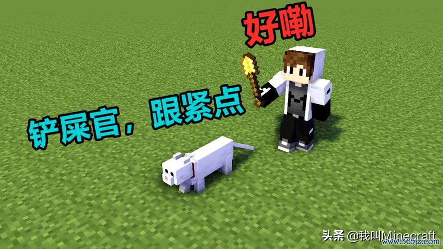 我的世界猫最全游戏攻略解说_我的世界猫最新游戏技巧通关
