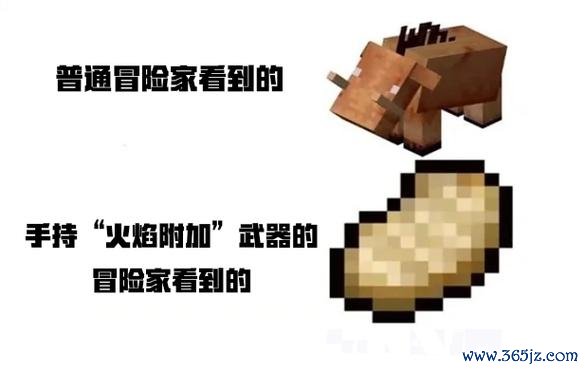 我的世界猪吃什么最全攻略解说_我的世界猪的食物最新技巧