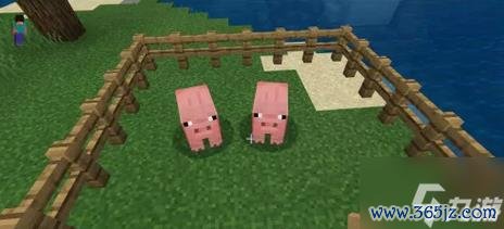 我的世界猪吃什么最全攻略解说_我的世界猪的食物最新技巧