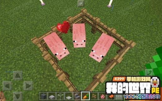 我的世界猪吃什么最全攻略解说_我的世界猪的食物最新技巧