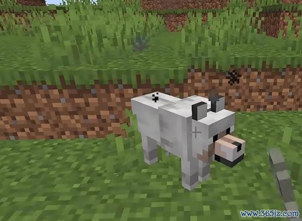 我的世界狼最全游戏攻略解说_我的世界狼最新游戏技巧通关