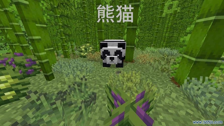 我的世界熊猫最全游戏攻略解说_我的世界熊猫最新游戏技巧通关