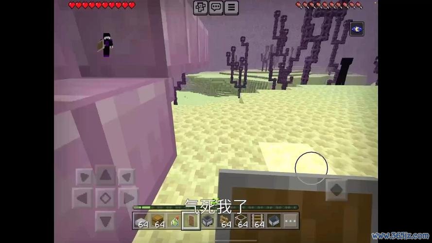 我的世界潜影贝最全游戏攻略解说_我的世界潜影贝最新游戏技巧通关