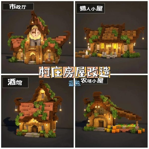 我的世界村庄全攻略解说_我的世界村庄最新技巧通关