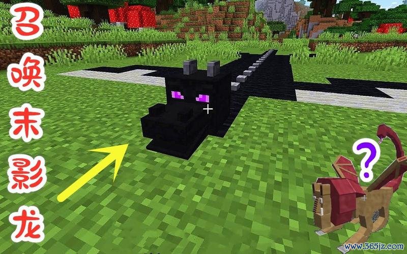 我的世界末影龙最全游戏攻略解说_我的世界末影龙最新游戏技巧通关