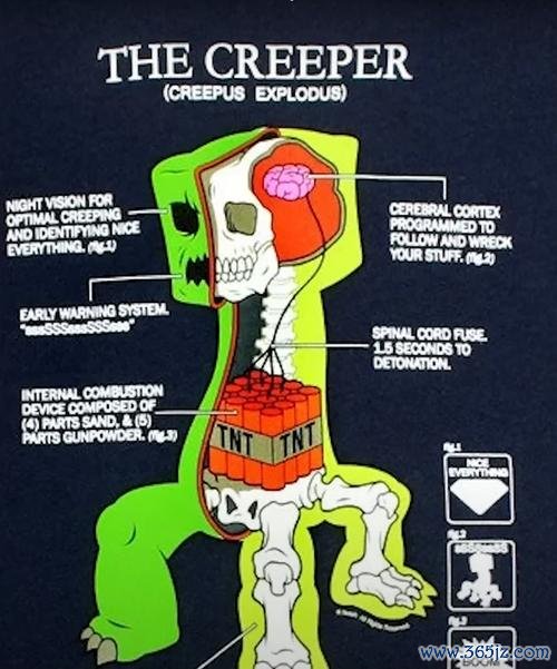 我的世界怪物图鉴最全游戏攻略解说_我的世界怪物图鉴最新游戏技巧通关