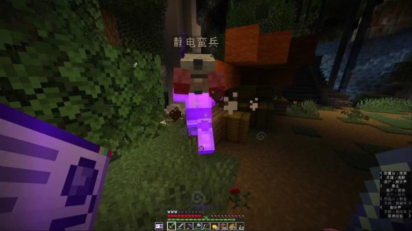 我的世界天堂全攻略解说_我的世界天堂最新技巧通关