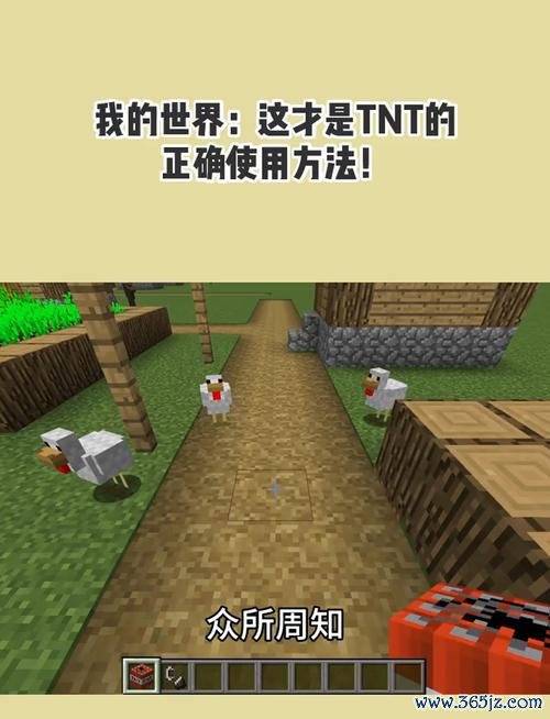 我的世界tnt最全游戏攻略解说_我的世界tnt最新游戏技巧通关