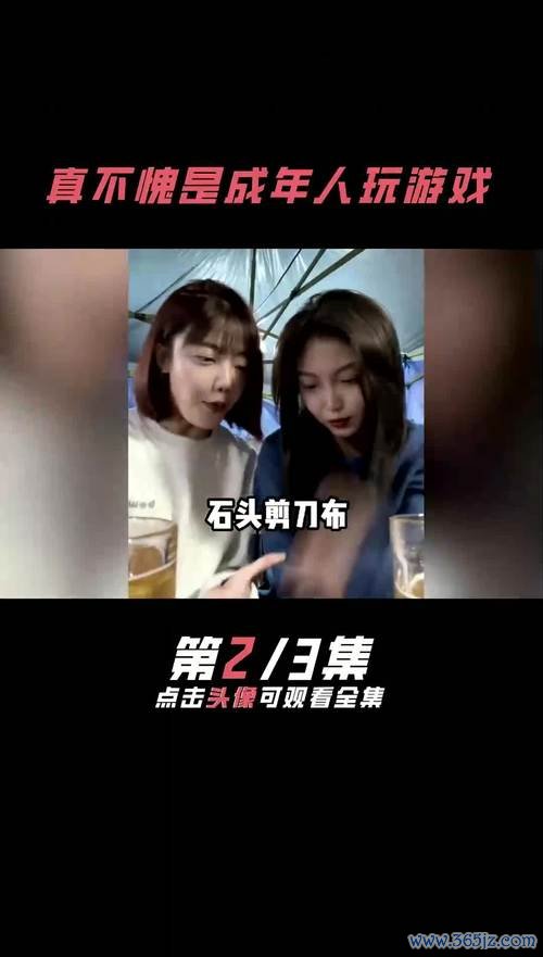 成年人看的游戏最全攻略解说_成年人看的游戏最新技巧通关