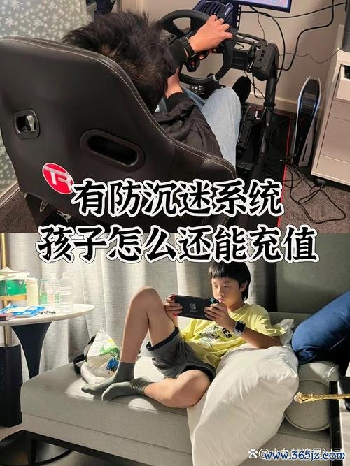 成年人看的游戏最全攻略解说_成年人看的游戏最新技巧通关