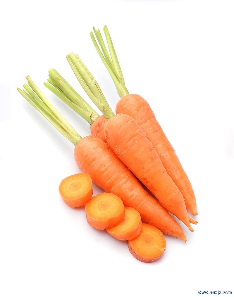 愤怒的萝卜最全游戏攻略解说_愤怒的萝卜最新游戏技巧通关