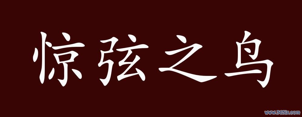 惊弦之鸟最全游戏攻略解说_惊弦之鸟最新游戏技巧通关