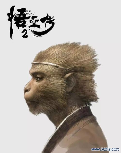 悟空传2 最全游戏攻略解说_悟空传2 最新游戏技巧通关