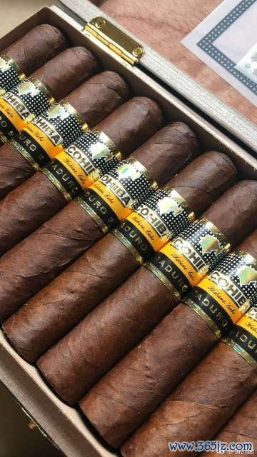 恶魔雪茄最全游戏攻略解说_恶魔雪茄最新游戏技巧通关