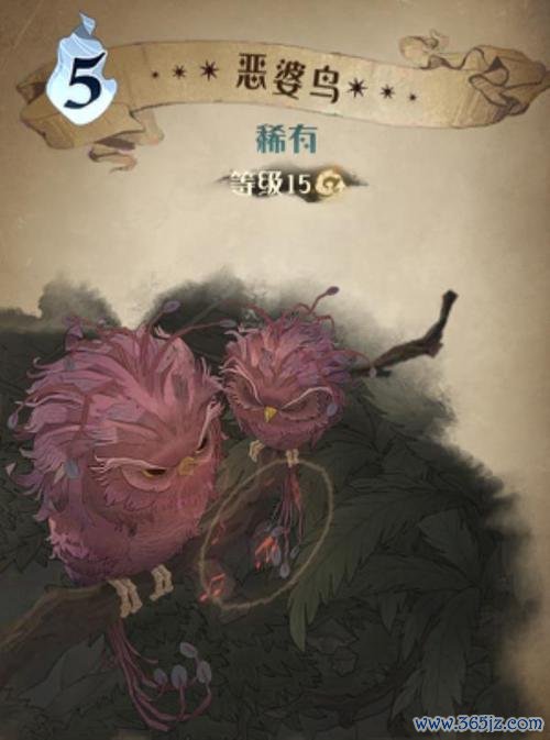 恶婆鸟最全游戏攻略解说_恶婆鸟最新游戏技巧通关