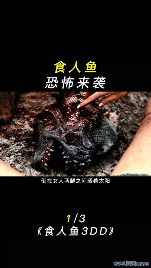 恐怖食人鱼最全游戏攻略解说_恐怖食人鱼最新游戏技巧通关