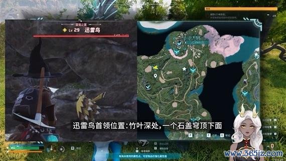 怎么抓鸟最全游戏攻略解说_怎么抓鸟最新游戏技巧通关