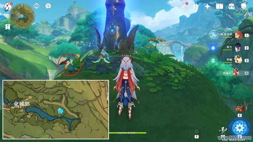 怎么抓鸟最全游戏攻略解说_怎么抓鸟最新游戏技巧通关