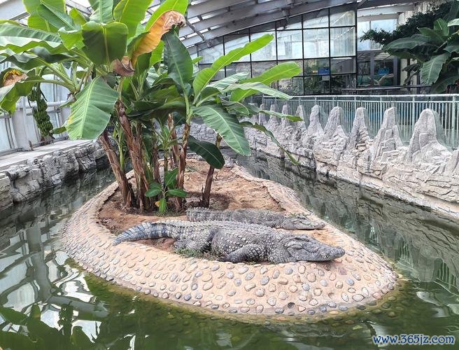 快乐动物园全流程攻略及趣味玩法解析_快乐动物园新手入门到高手进阶