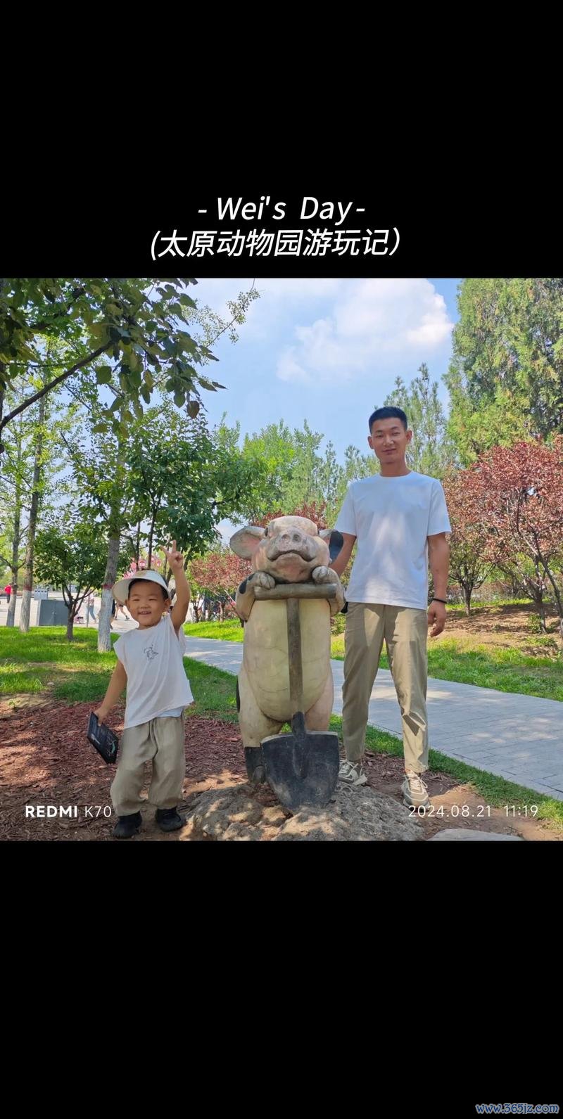 快乐动物园全流程攻略及趣味玩法解析_快乐动物园新手入门到高手进阶