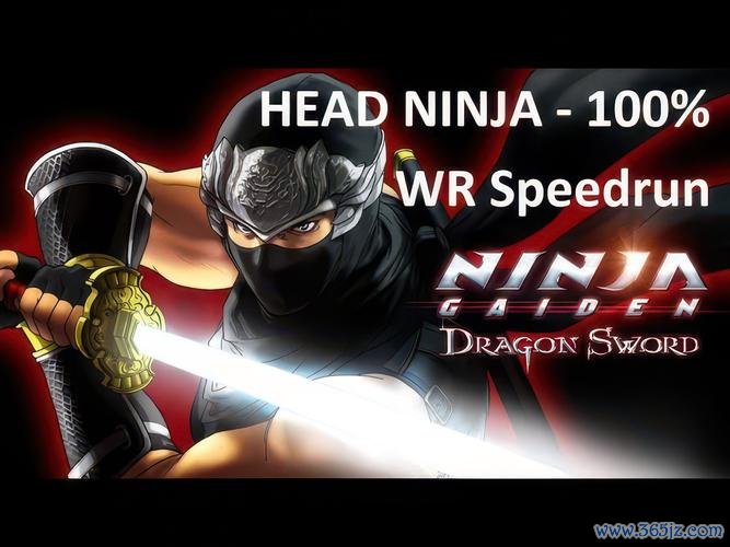 忍者龙剑传1 最全游戏攻略解说_忍者龙剑传1 最新游戏技巧通关