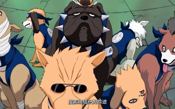 忍犬全方面攻略解说_忍犬最新技巧轻松通关