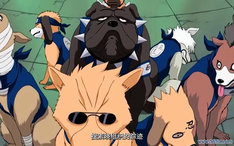 忍犬全方面攻略解说_忍犬最新技巧轻松通关