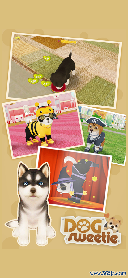 心动小狗最全游戏攻略解说_心动小狗最新游戏技巧通关