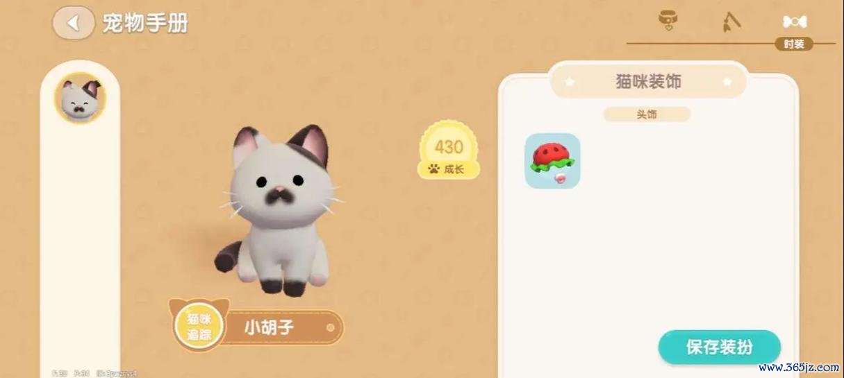 心动小猫最全游戏攻略解说_心动小猫最新游戏技巧通关