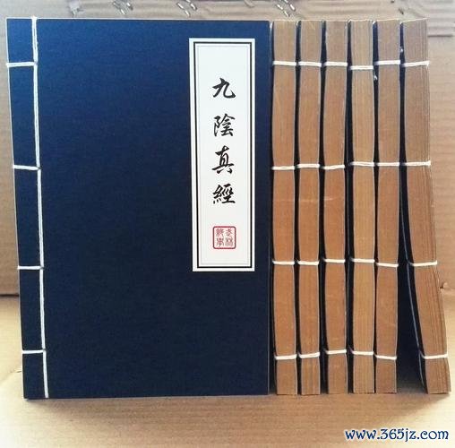 御龙者全职业解析与实战技巧攻略_御龙者最新副本通关秘籍