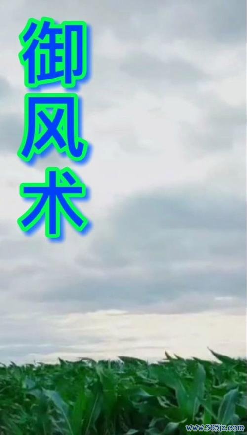 御风术最全游戏攻略解说_御风术最新游戏技巧通关