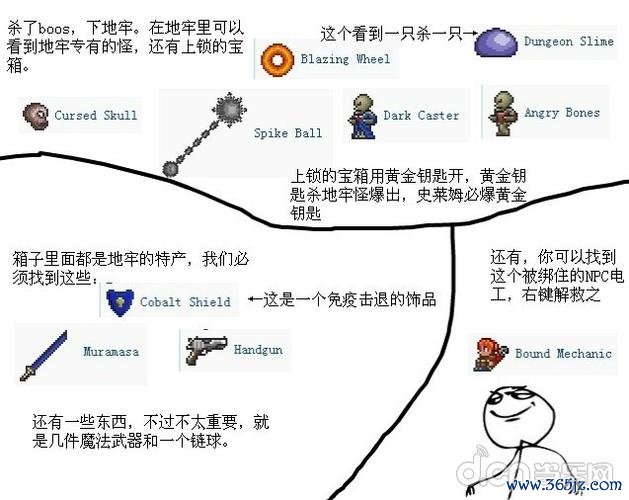 御果园全方面攻略指引_御果园最新技巧助你轻松通关