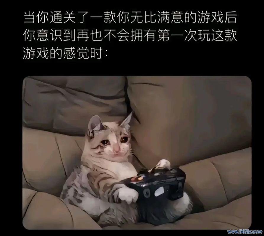 很好玩的游戏最全攻略解说_很好玩的游戏最新技巧通关