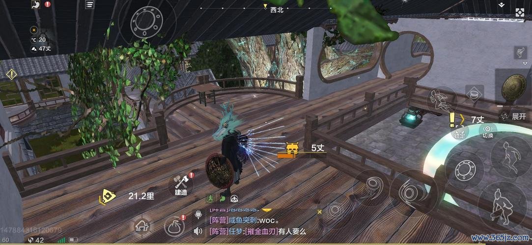 影木最全游戏攻略解说_影木最新游戏技巧通关