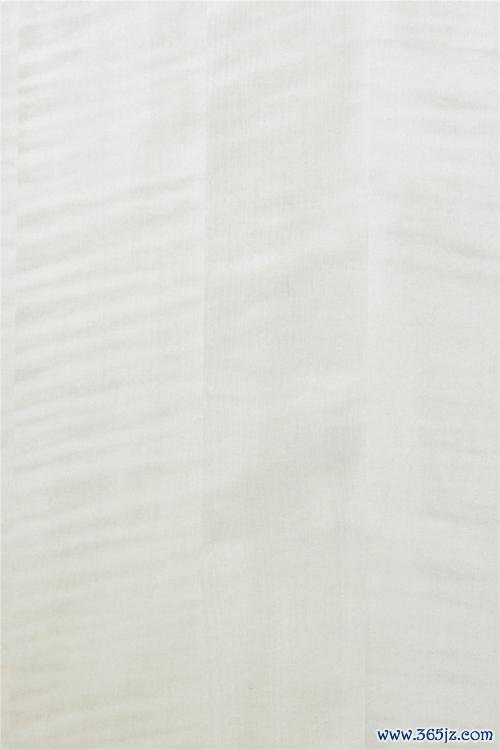 影木最全游戏攻略解说_影木最新游戏技巧通关