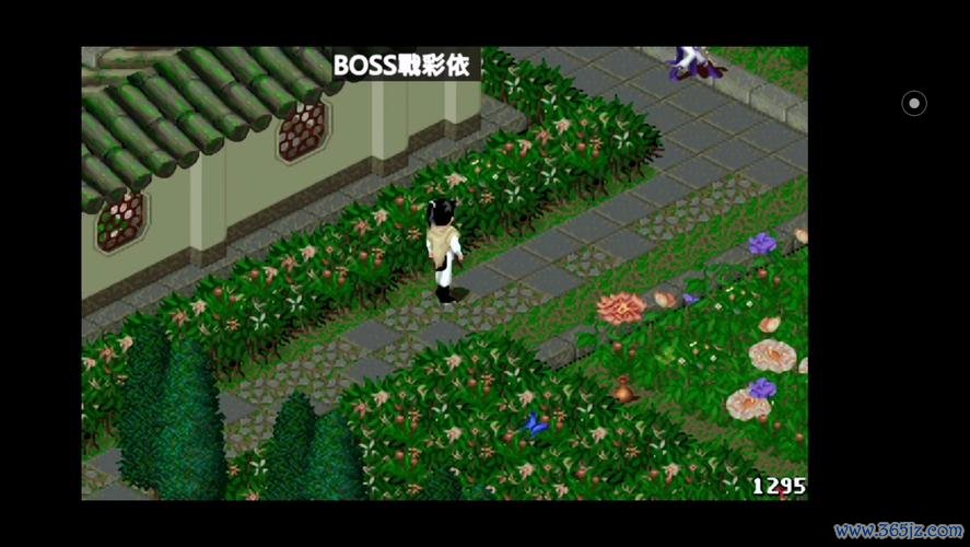 彩依最全游戏攻略解说_彩依最新游戏技巧通关