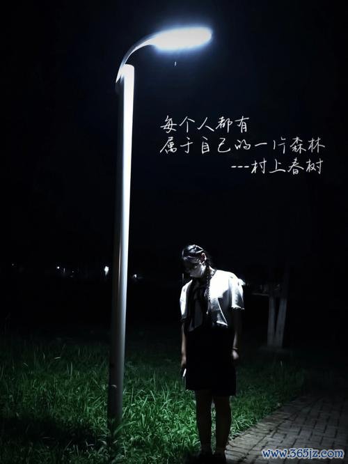 当黑夜降临全流程攻略解析_当黑夜降临隐藏要素获取