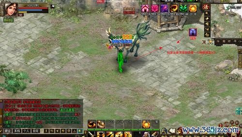 归鸟最全游戏攻略解说_归鸟最新游戏技巧通关