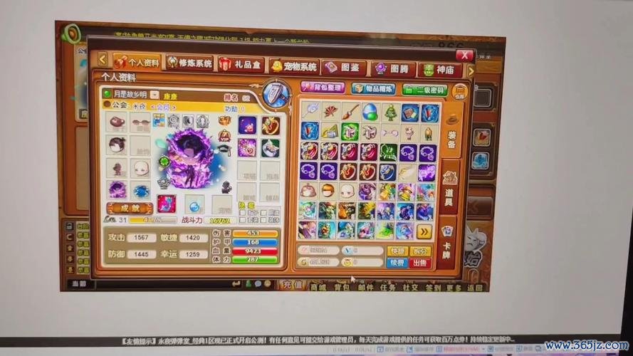 弹弹堂游戏店最全游戏攻略解说_弹弹堂游戏店最新游戏技巧通关