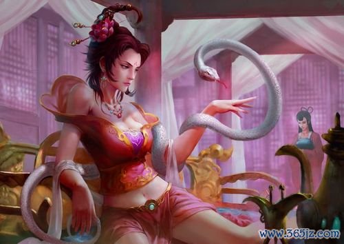 张贞娘最全游戏攻略解说_张贞娘最新游戏技巧通关