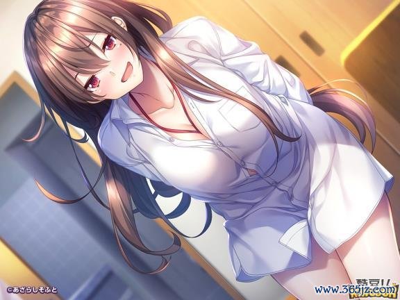 张约游戏全攻略解说_张约最新技巧通关